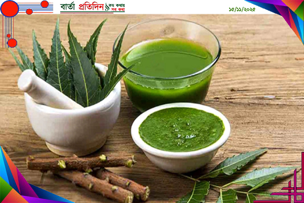 নিম পাতা ও নিমের ডাল: প্রাকৃতিক ওষুধের এক আশ্চর্য গুণ